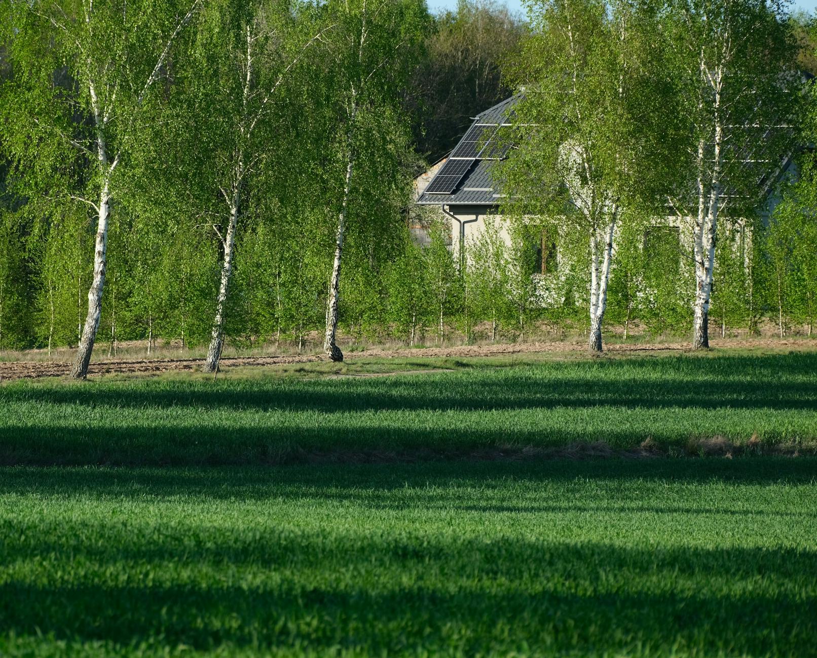 Nowoczesny dom z panelami fotowoltaicznymi w otoczeniu zieleni